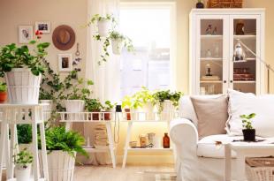 Уход за комнатными цветами Как ухаживать за цветами в домашних условиях